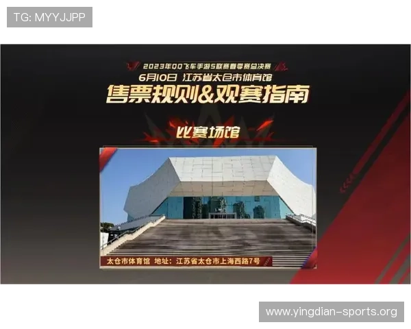 深入了解B体育中文站的特色功能，提升你的体育观赛体验与互动乐趣