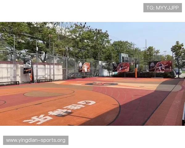 海德体育地址平台最新入口全面解析，助你轻松畅享体育赛事直播体验