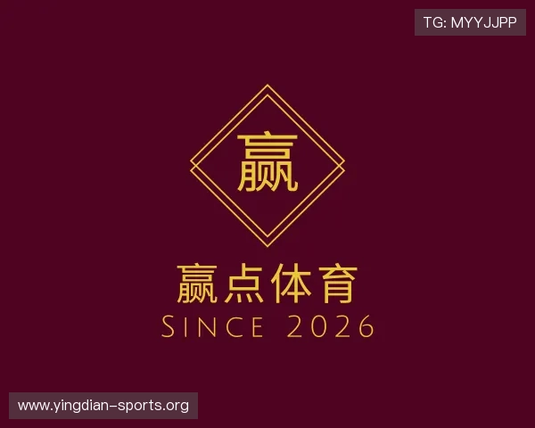 关于赢点体育